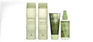 Alterna Bamboo Shine