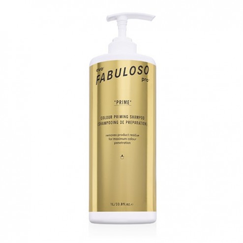 Evo Fabuloso Pro Preserve Colour Maintenance Shampoo