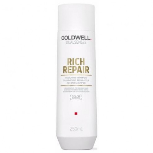 Goldwell Dualsenses Rich Repair Restoring Shampoo 10.1 Oz