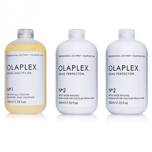 Olaplex Salon Intro Kit