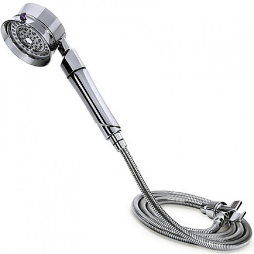 T3 Source Hand Held Shower Head