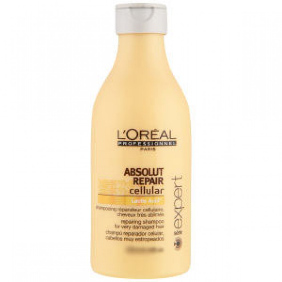 Loreal Serie Expert Absolut Repair Shampoo 3.4 oz