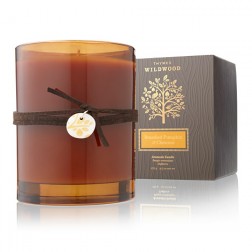 Thymes Brandied Pumpkin and Chestnut Candle
