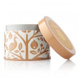 Thymes Brandied Pumpkin and Chestnut Candle Tin