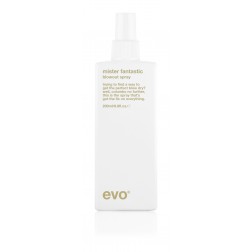 Evo mister blowout spray 200ml