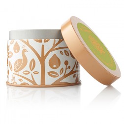 Thymes Fiddlehead Fern and Crabapple Candle Tin
