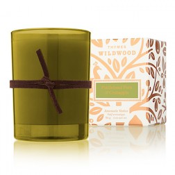 Thymes Fiddlehead Fern and Crabapple Votive Candle