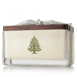 Thymes Frasier Fir Holiday 2 Wick Candle