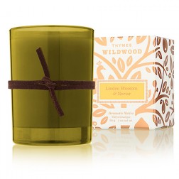 Thymes Linden Blossom and Nectar Votive Candle