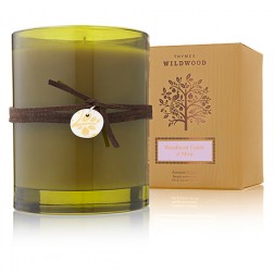 Thymes Woodland Violet and Mint Candle