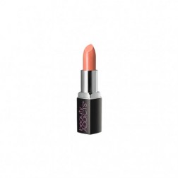 Beauty ADDICTS BeautifullLIPS Lipstick Express/Shy