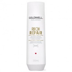 Goldwell Dualsenses Rich Repair Restoring Shampoo 10.1 Oz