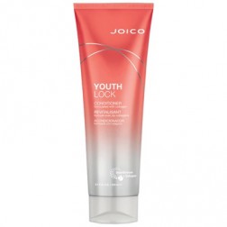 Joico YouthLock YouthLock Conditioner 8.5 Oz