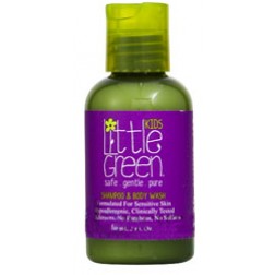 Little Green Kids All In One Shampoo and Body Wash 2 Oz