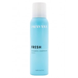 Pravana Fresh Dry Shampoo 3.4 Oz