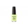 OPI Lacquer How Does Zen Garden Grow?