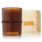 Thymes Brandied Pumpkin and Chestnut Votive Candle