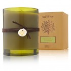 Thymes Fiddlehead Fern and Crabapple Candle