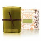 Thymes Fiddlehead Fern and Crabapple Votive Candle