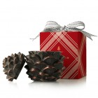 Thymes Frasier Fir Pinecone Candle