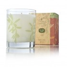 Thymes Olive Leaf Candle