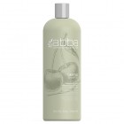 Abba Gentle Shampoo 33.8 Oz