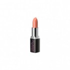 Beauty ADDICTS BeautifullLIPS Lipstick Express/Shy