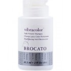 Brocato Vibracolor Fade Prevent Shampoo 