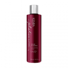 Kenra Signature Prime Shampoo 8.5 Oz