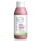 Matrix Biolage R.A.W. Recover Shampoo 1.7 Oz