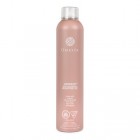 Onesta Refresh Dry Shampoo 7 Oz