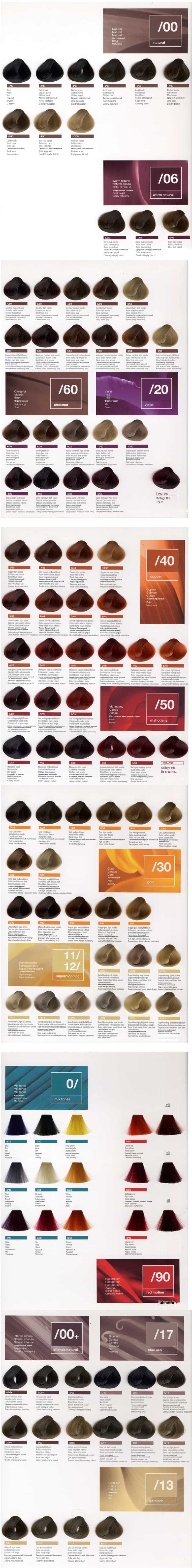 Small Mastey Hair Color Chart  Affinity Beauty Concepts